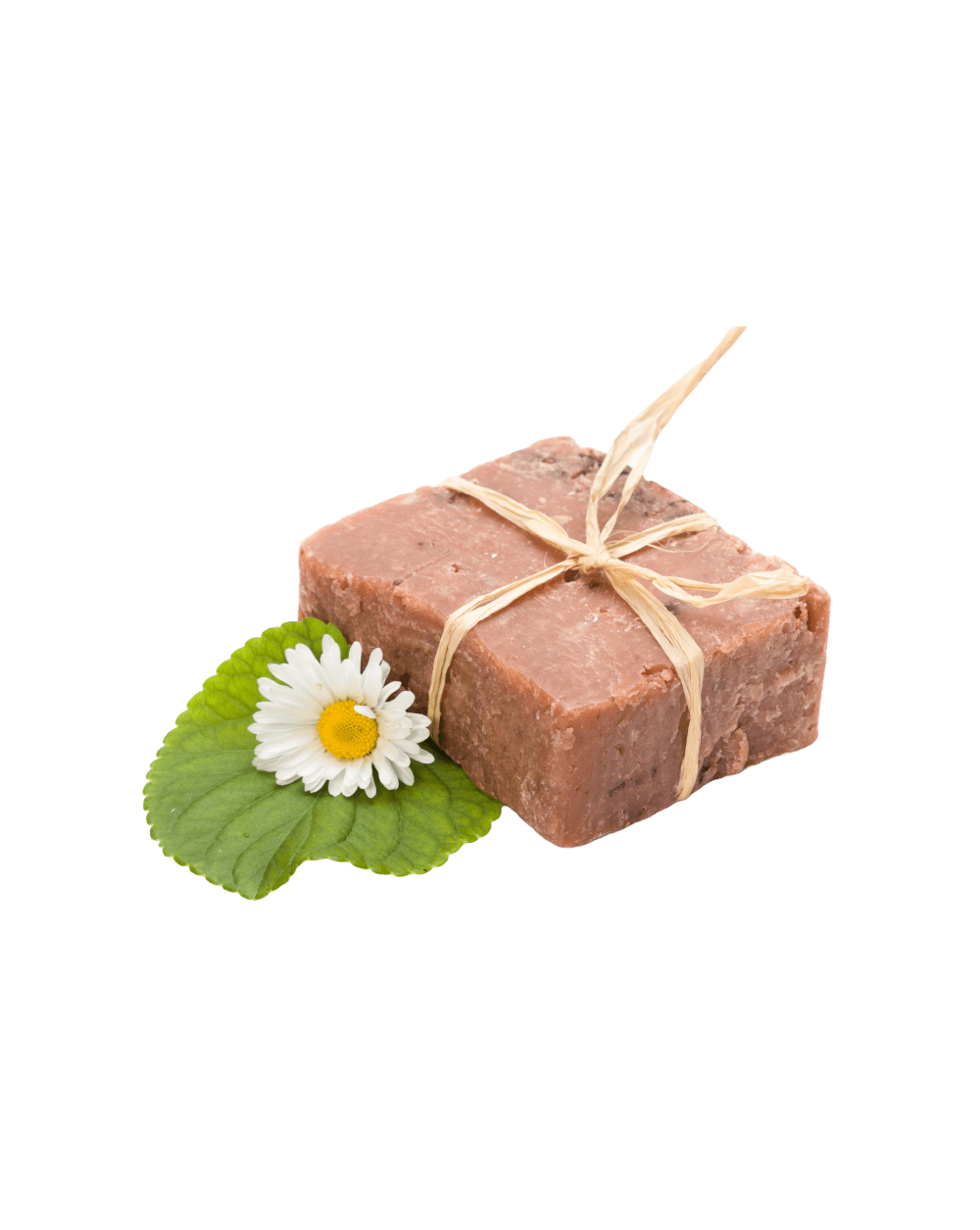 shop-9-02