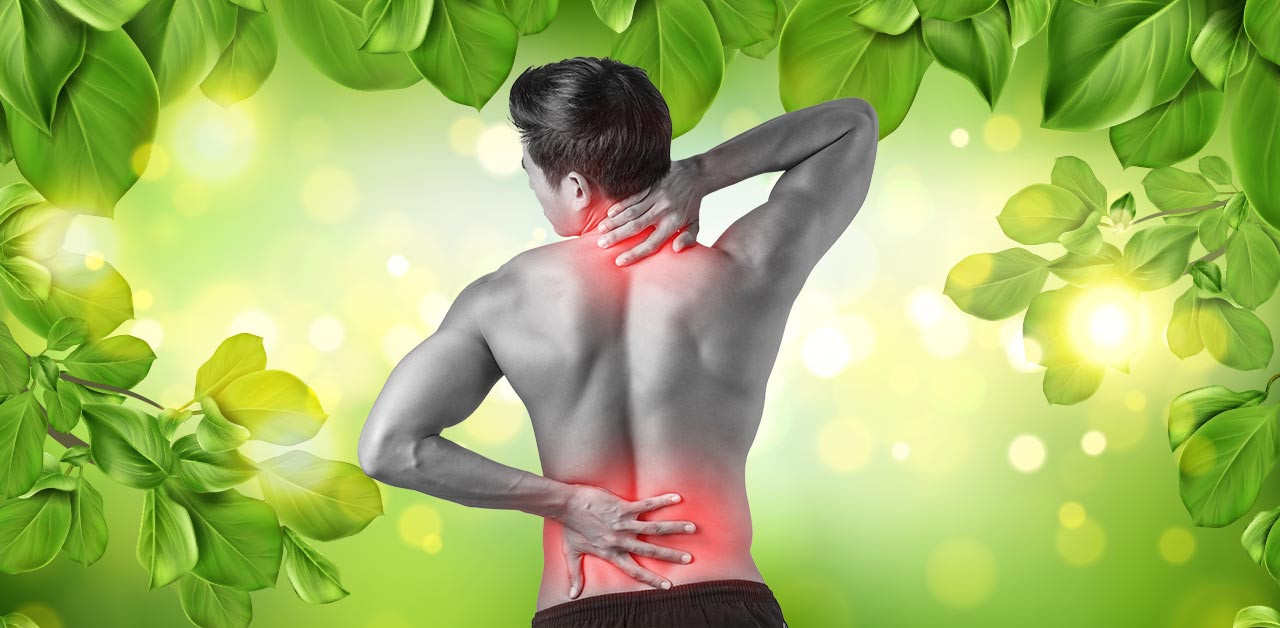Health Care- ashika herbals